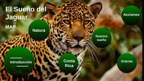  El Sueño del Jaguar - Kuvanveistossa Yhtymän Symbolista ja Mystiikasta!